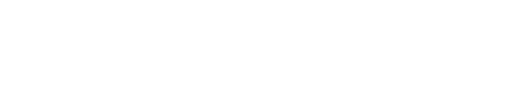 Shopify Partner